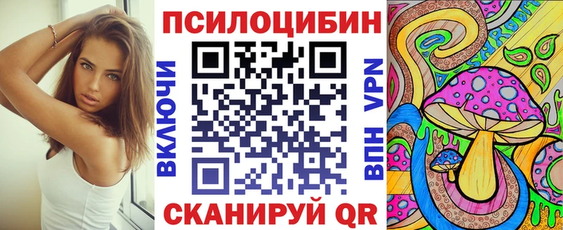 купить закладку  Нижний Новгород  Галлюциногенные грибы Psilocybine cubensis 