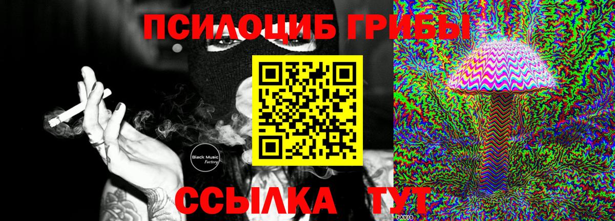 Псилоцибиновые грибы Magic Shrooms Нижний Новгород